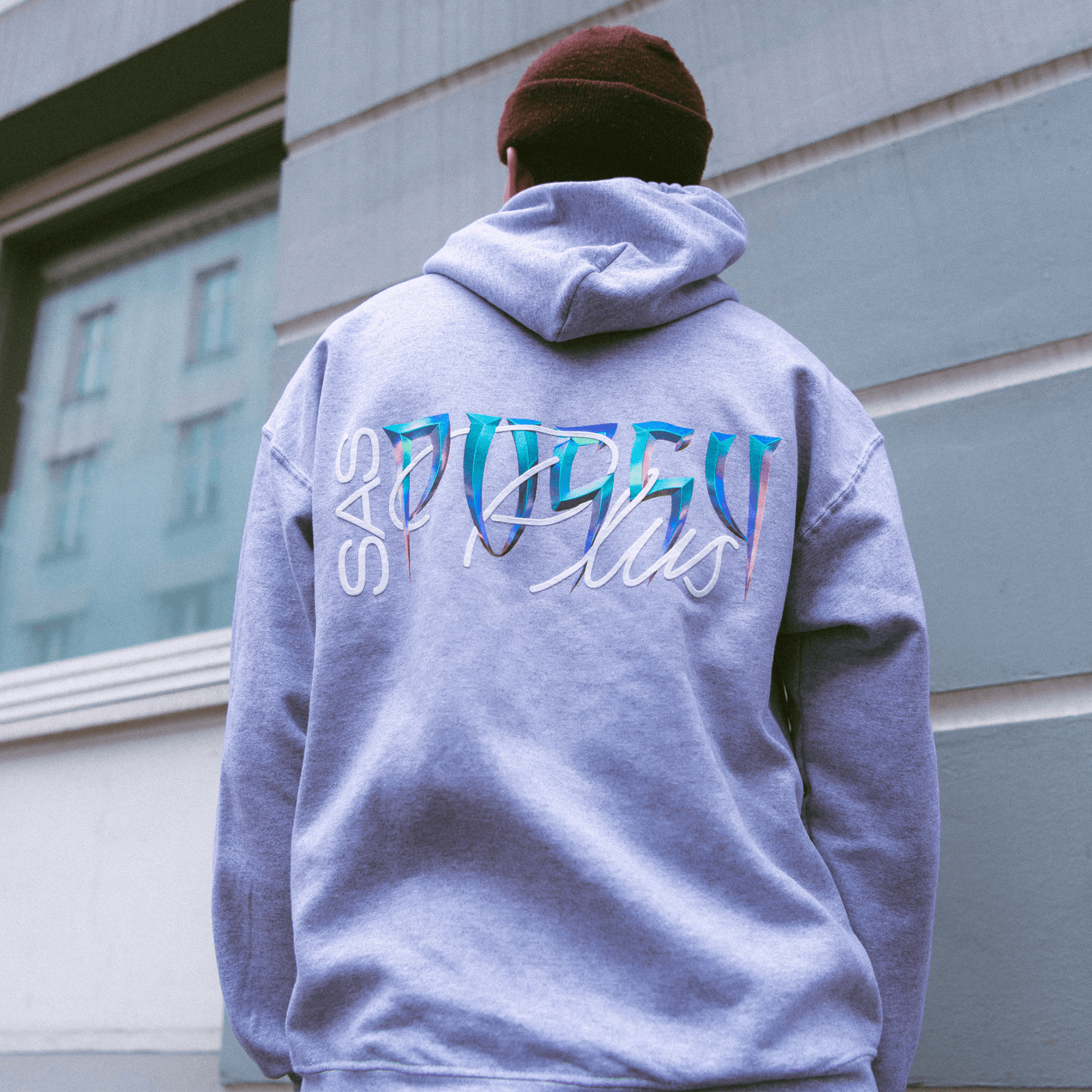 Karpe - Hoodie - GRÅ HOODIE